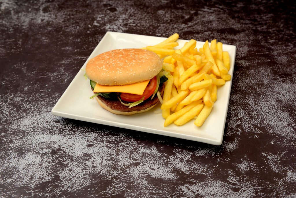 Chicken Burger with Fries